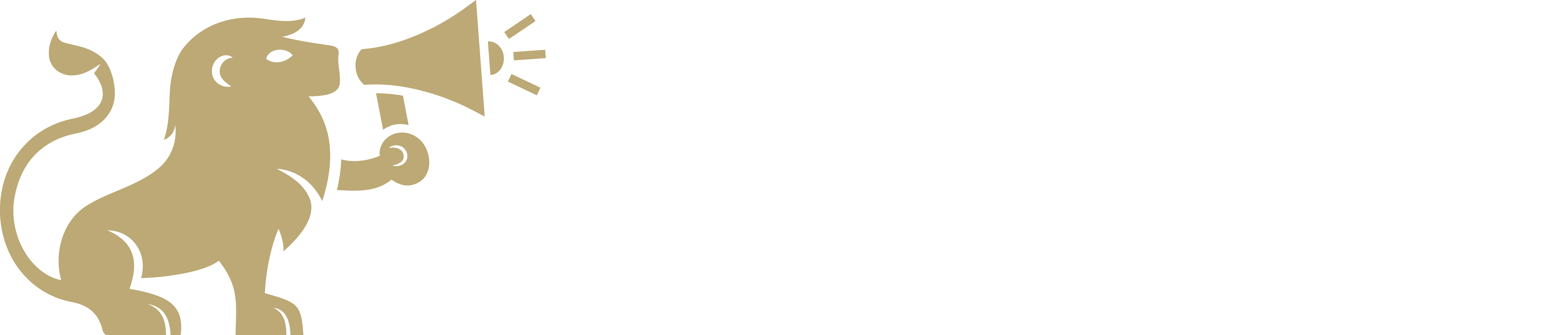 Logotipo Ana Ortiz Publicidad - Agencia de Zaragoza